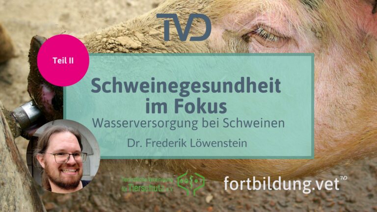 fortbildung.vet Titelbild