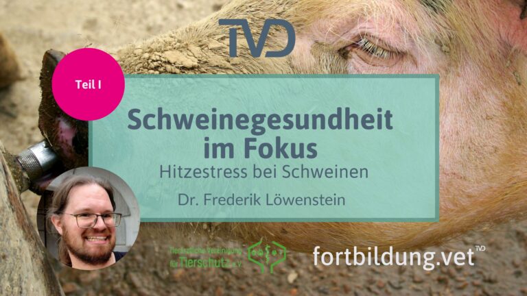 fortbildung.vet Titelbild